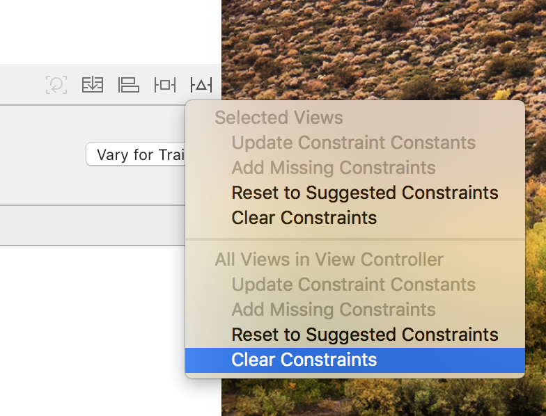Clear all constraints in view controller